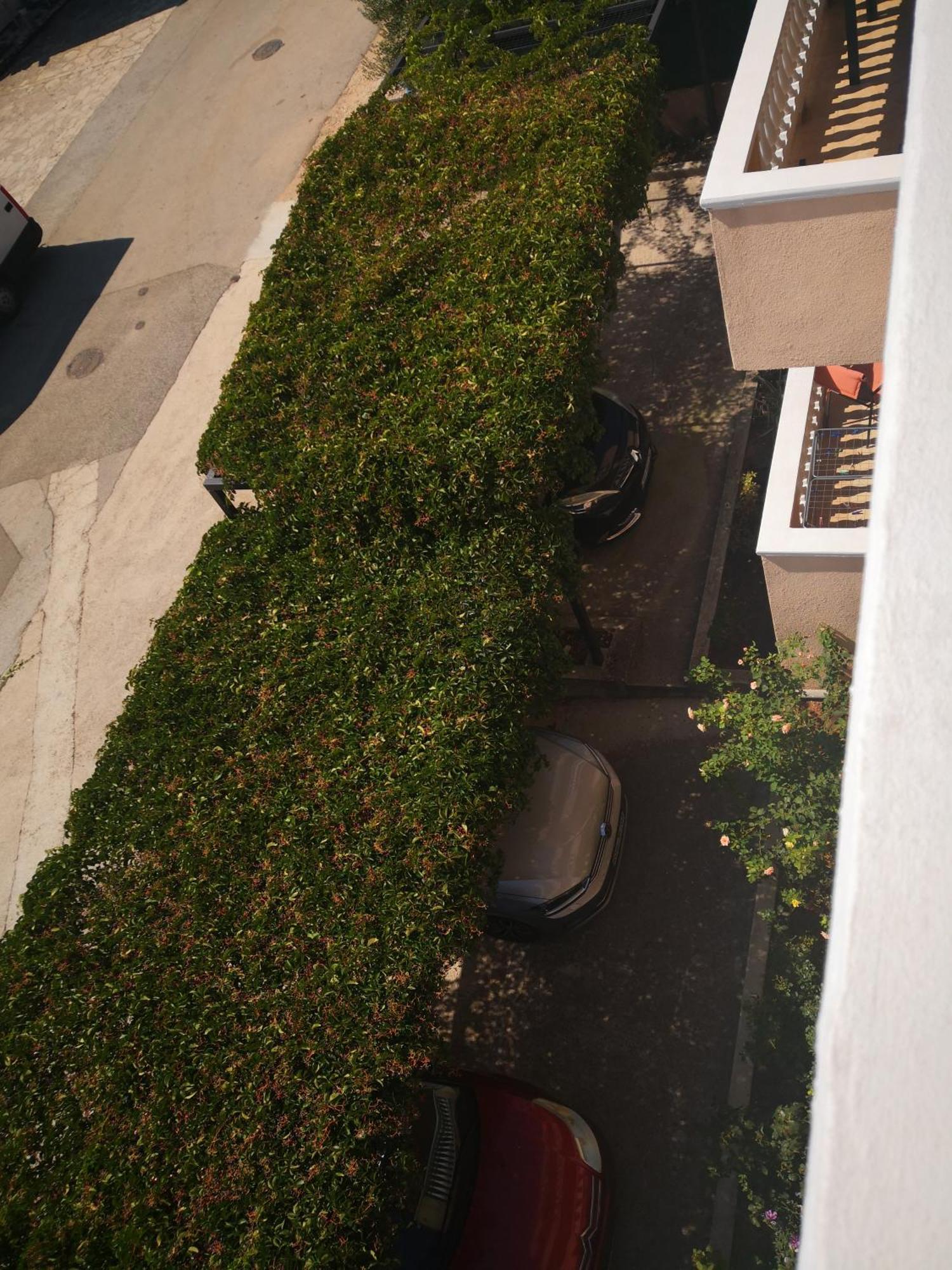 ביוגראד נה מורו Apartment Plavia Biograd מראה חיצוני תמונה